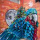 Comuna 13